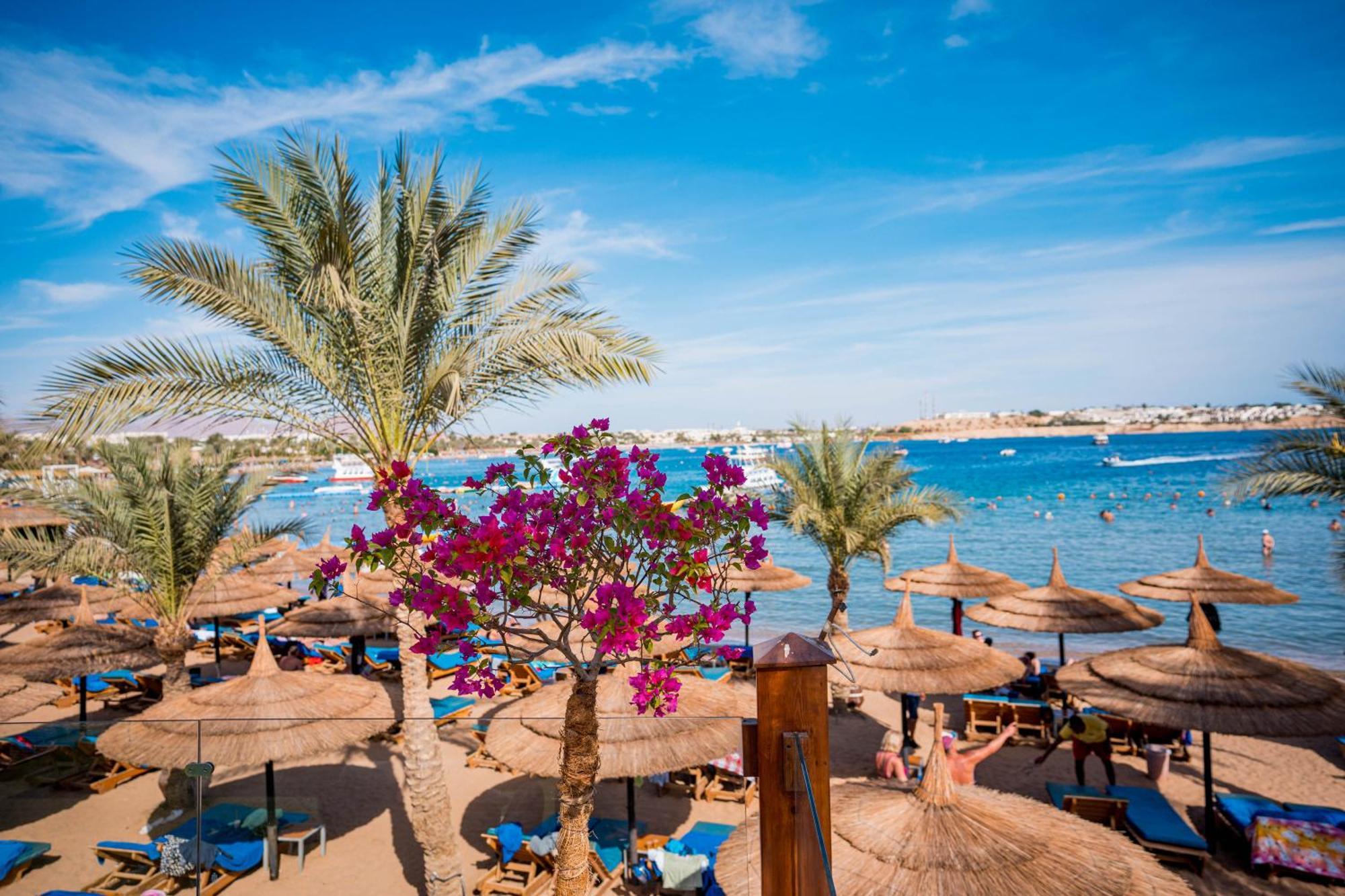 Marina Sharm Hotel Eksteriør billede
